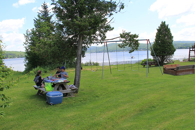 Aire de pique-nique aux abords de la plage du lac Wallace